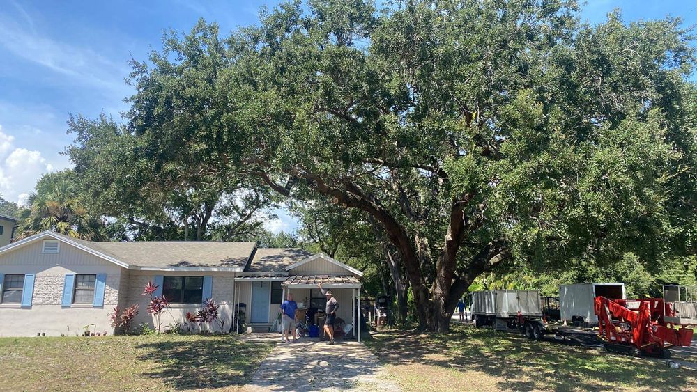 All Photos for MX Trees LLC in Englewood, FL