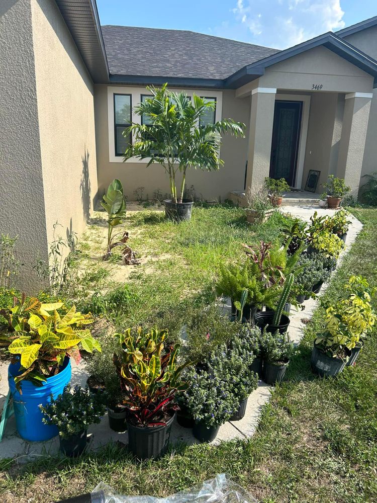 All Photos for Estrada All Pro Lawn Service in Auburndale, Florida