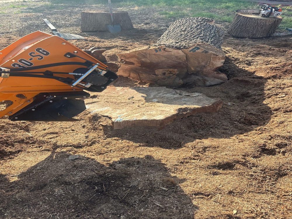 Tree Removal for Compas Cleanup in McCamey, TX