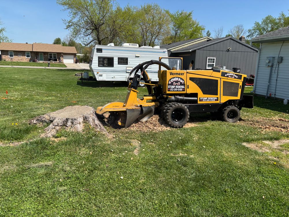 All Photos for Conrad's Stump Removal in Columbus, IN