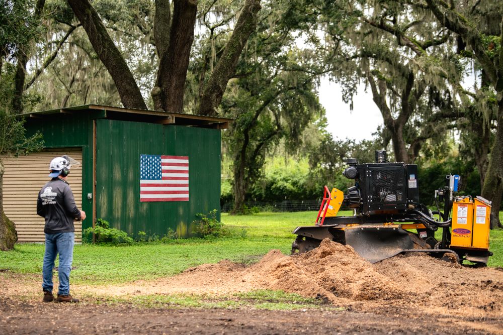 Stump Grinding for Greene Acres Stump Grinding in Plant City, FL