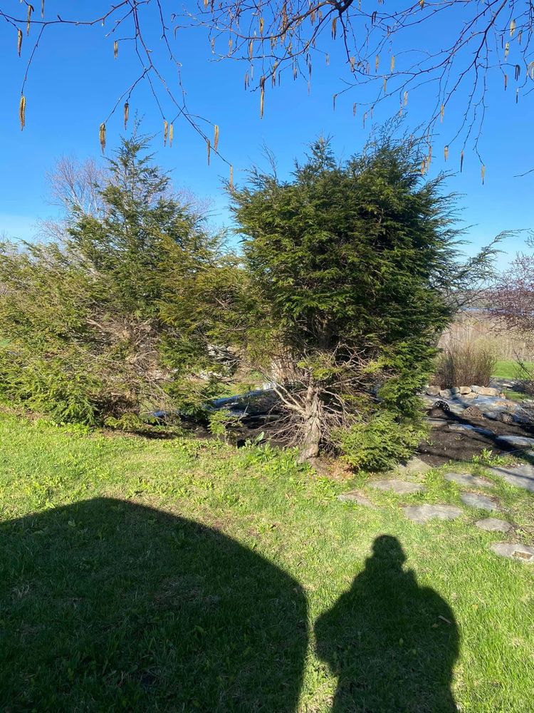 All Photos for Bishop’s Property Maintenance in Franklin, VT