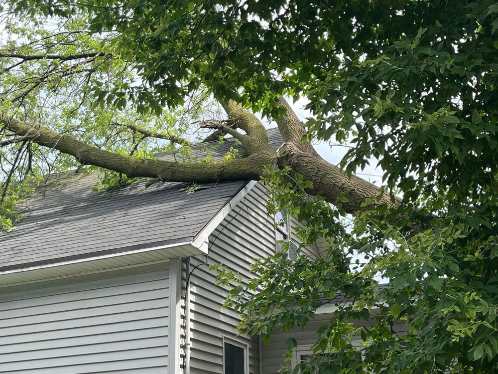 Tree Removal for Tree-B-Gone in Shawano, WI