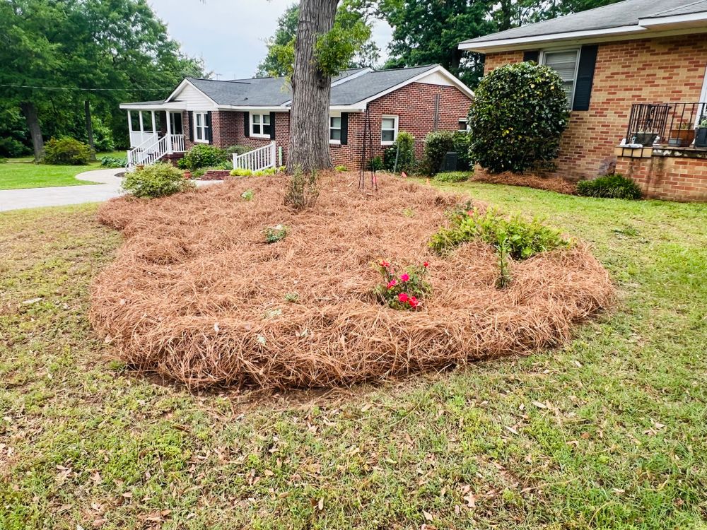 All Photos for LC Lawn Care & Landscaping in Canon, GA
