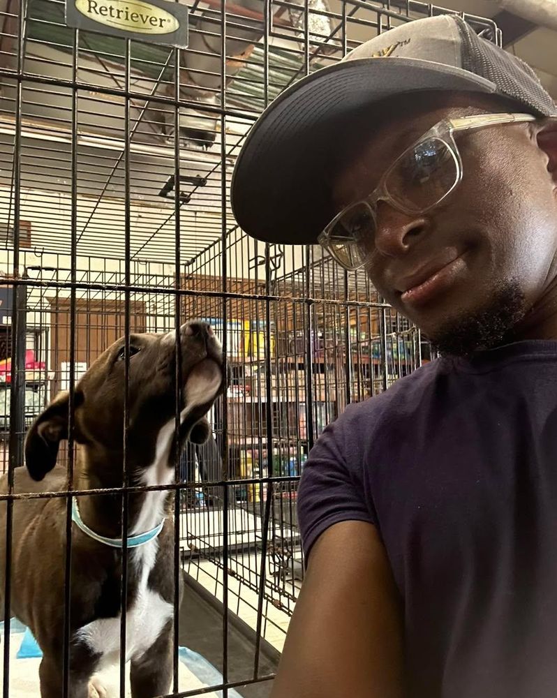 All Photos for Soapy Suds Services Georgia in Perry, GA