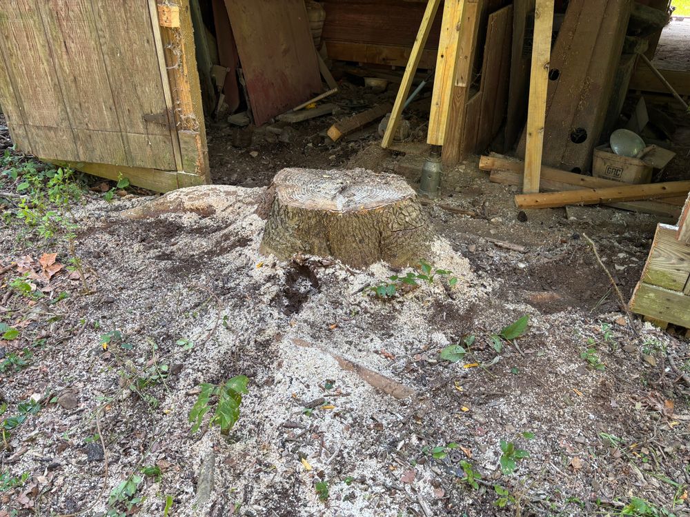 All Photos for Conrad's Stump Removal in Columbus, IN