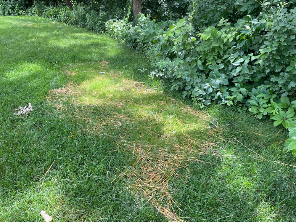 Landscaping for Second Nature Landscaping in Lake City, Minnesota