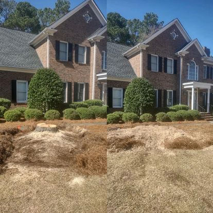 All Photos for Morgan's Stump Removal in Rock HIll, SC