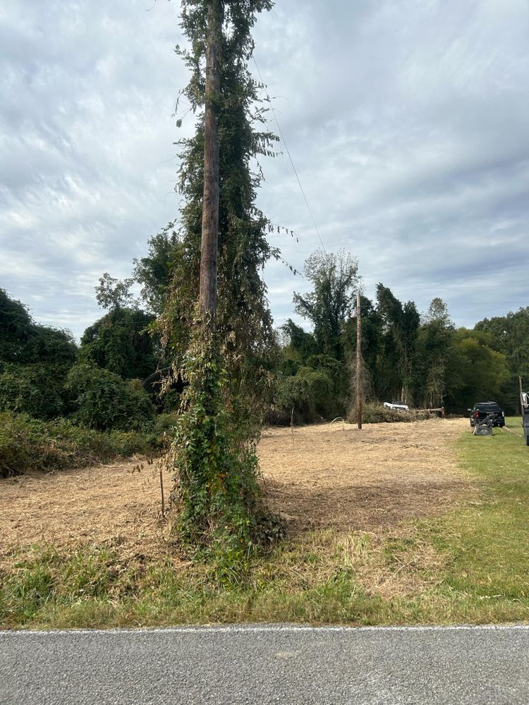 All Photos for Z's Land Management & Forestry Mulching in Smithville, TN