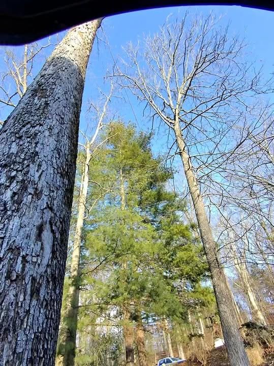 All Photos for Complete Care in Cumberland Gap, TN