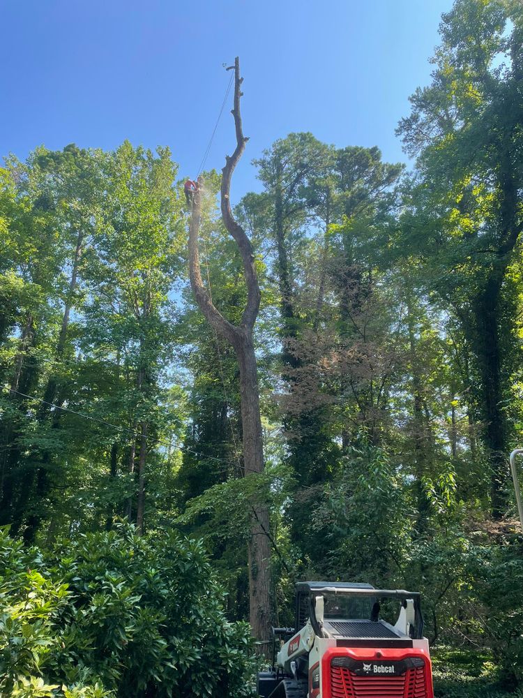 Tree Removal for Ace Tree Service  in Fuquay-Varina, NC