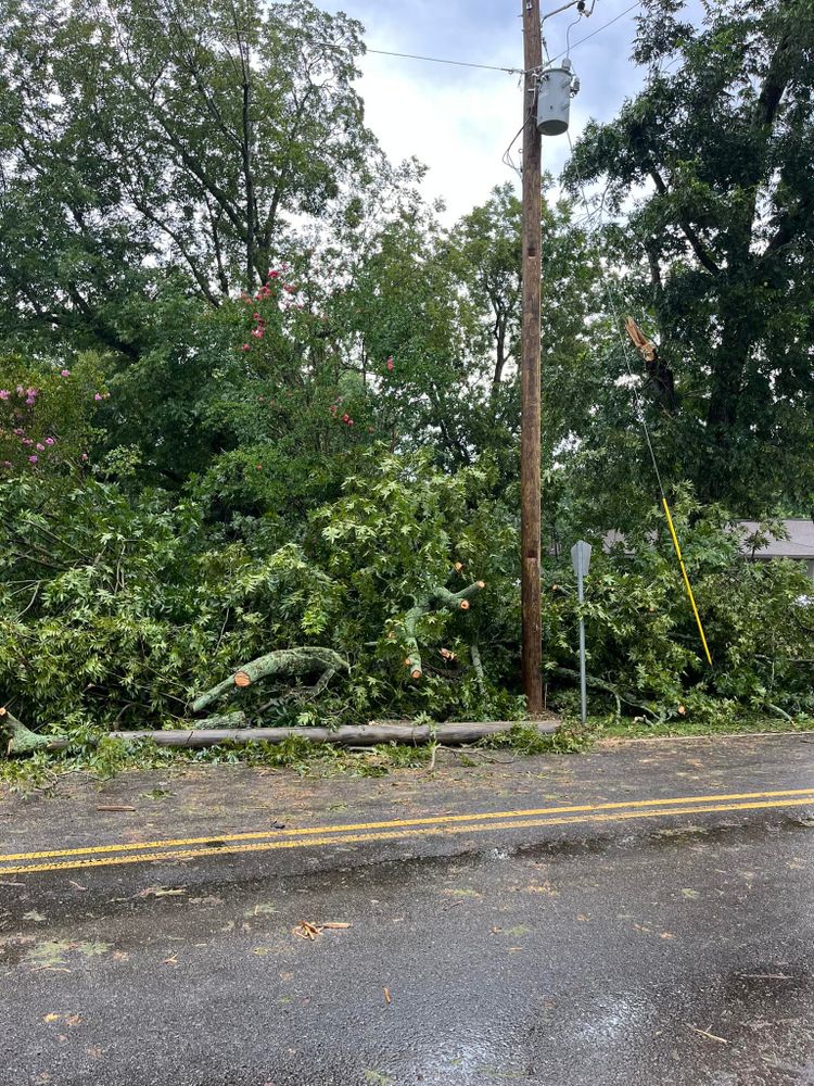 Tree Removal for Big Rock Tree Removal LLC in Boaz, AL