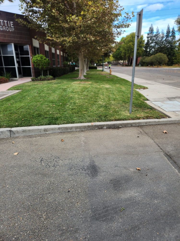 All Photos for Vargas LANSCAPE LLC in Stockton, CA