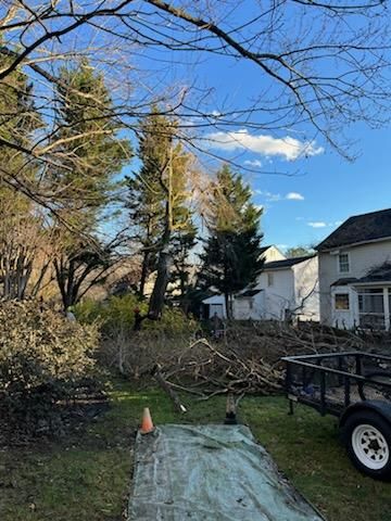 All Photos for Smith Tree Experts in Palmyra, VA