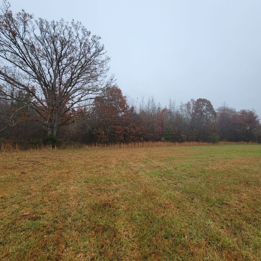 All Photos for Z's Land Management & Forestry Mulching in Smithville, TN