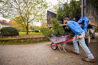 All Photos for Pungitore Landscapes, Irrigation & Fertilizer in Hingham, MA