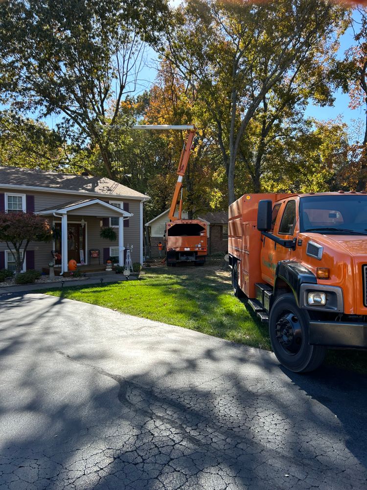 Tree Service for Transforming Landscaping & Tree Service in Bowling Green, KY