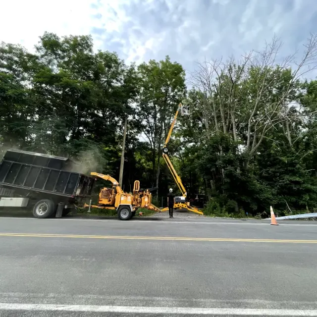 Tree Removal for Huntsville Tree Service in Huntsville, AL
