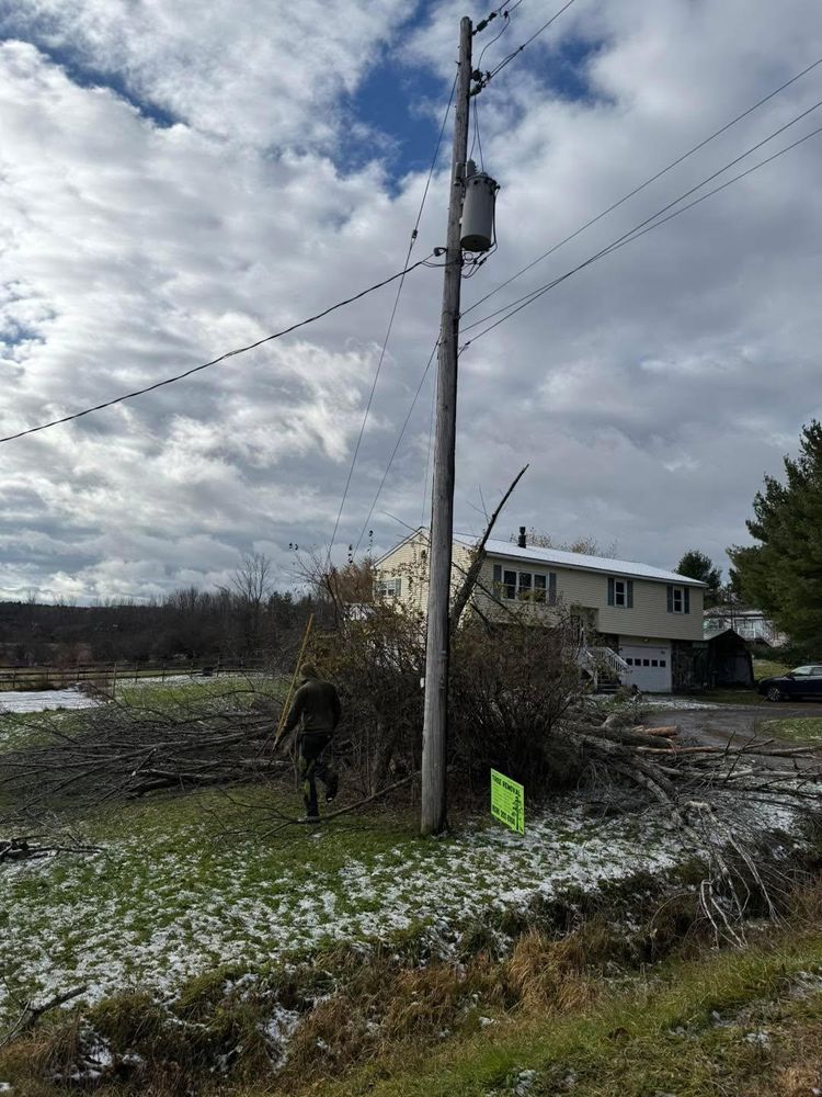 All Photos for Sterlings Tree Removal in Cobleskill, New York