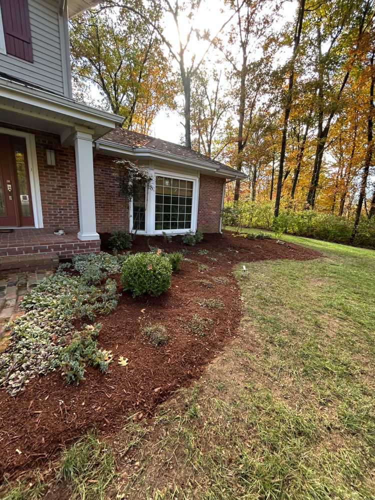 All Photos for Optimum Tree Service And Landscaping in Bowling Green, KY