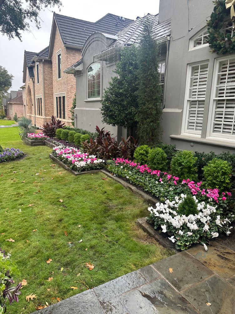 Lawn Care for Tree Valley Landscaping in Dallas, TX