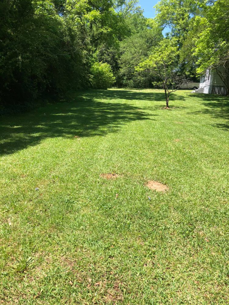 Fall and Spring Clean Up for Battle Lawn Maintenance in Eatonton, GA