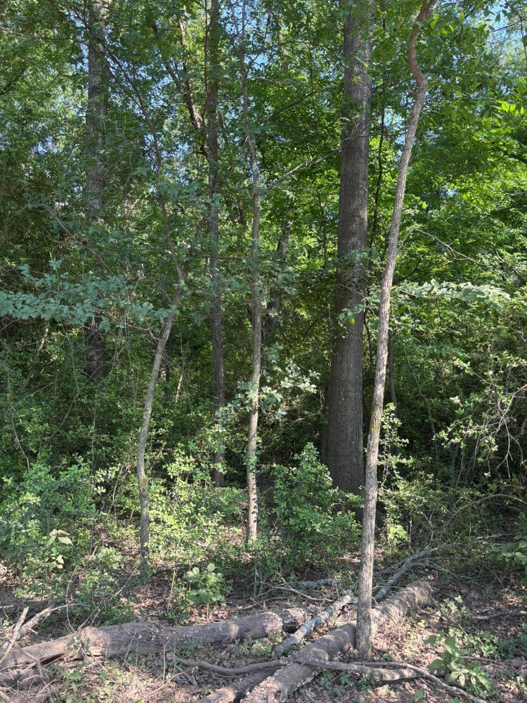 All Photos for JM Services in Woodville, TX