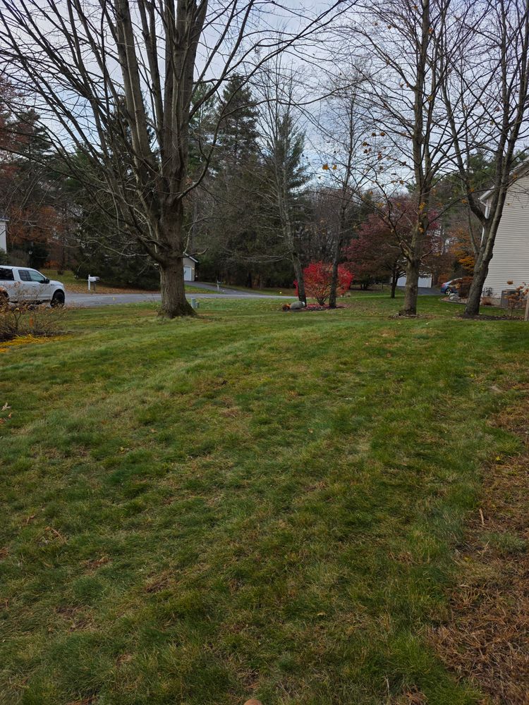 All Photos for Sweet Scapes in Ballston Spa, NY