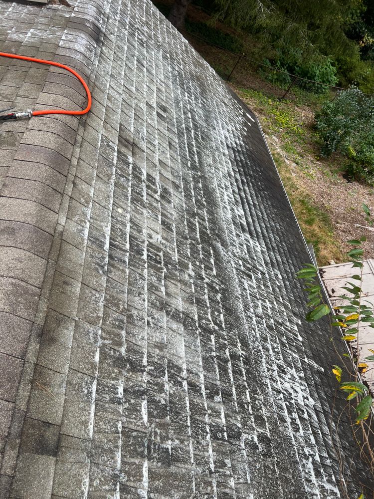 Roof Washing for Blast Exterior Cleaning in  Hendersonville, NC