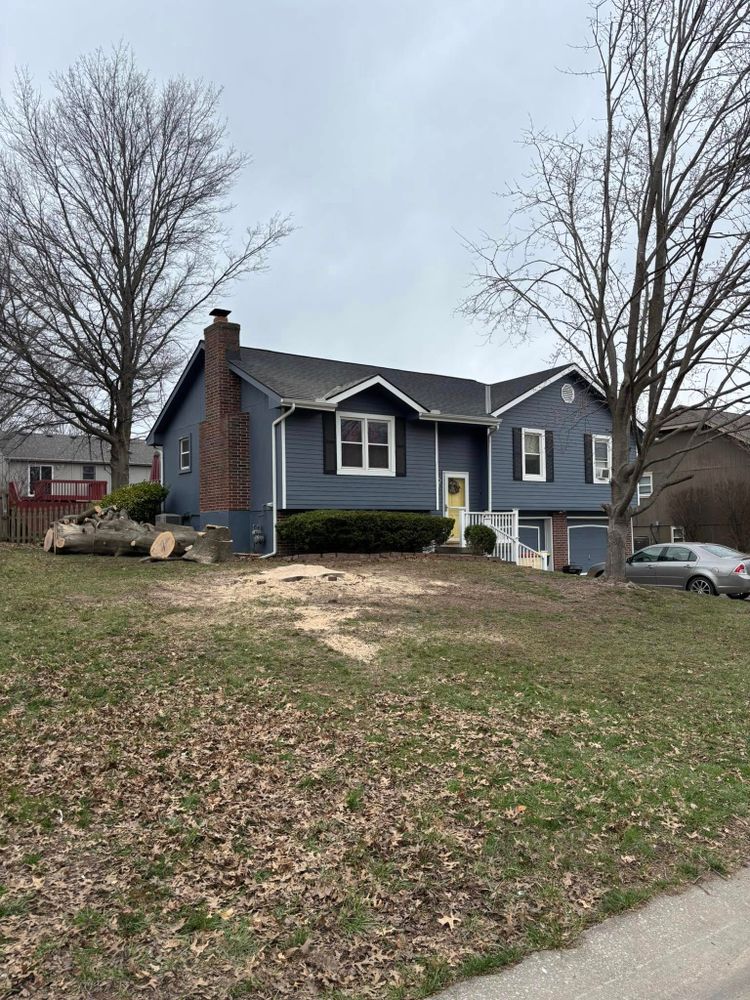 Tree Removal for Cross Family Tree Service in Kearney, MO