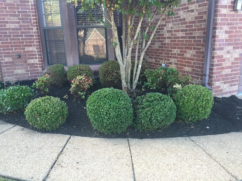 All Photos for Kingdom Landscaping in Memphis, TN