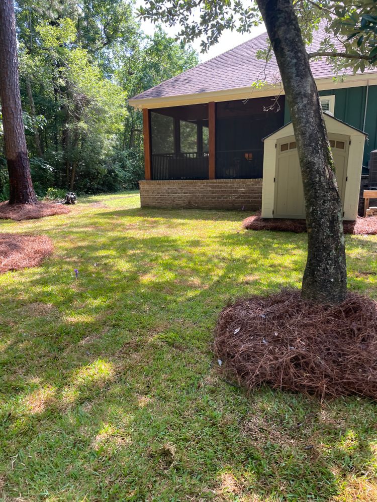All Photos for Enhanced Landscape in Daphne, AL