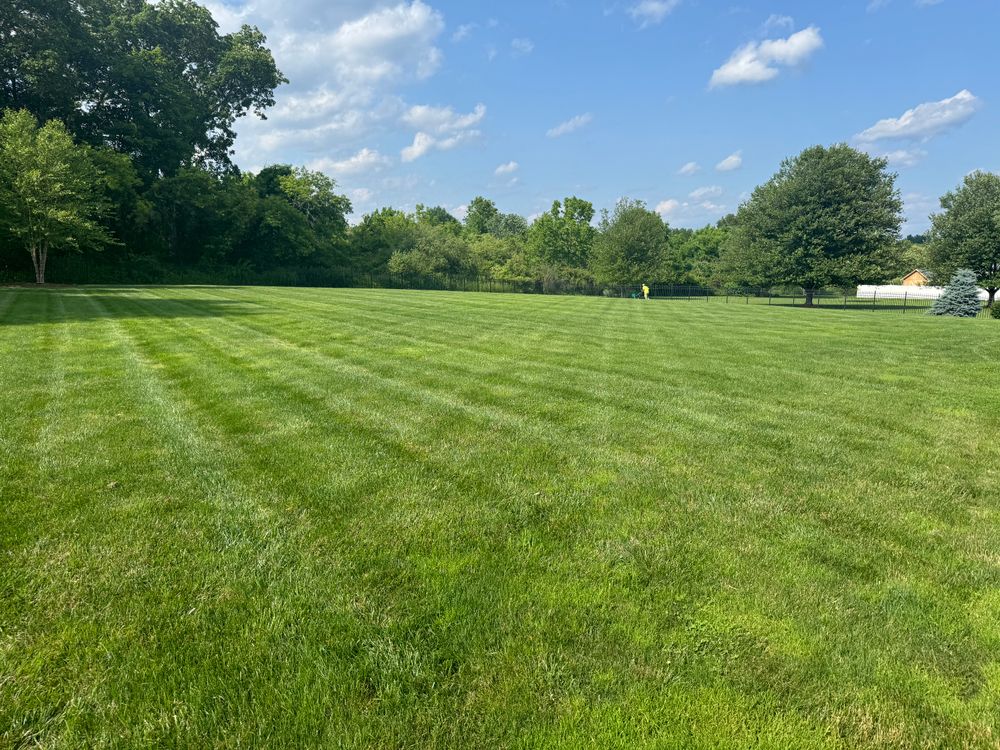 All Photos for Adams Landscaping in Springfield, MA