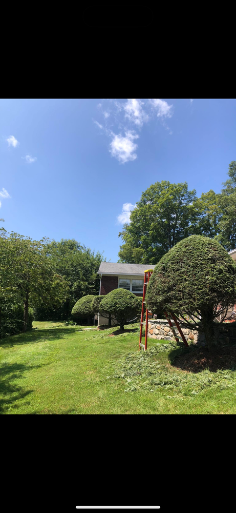 All Photos for Guaman’s Landscaping in Waterbury, CT