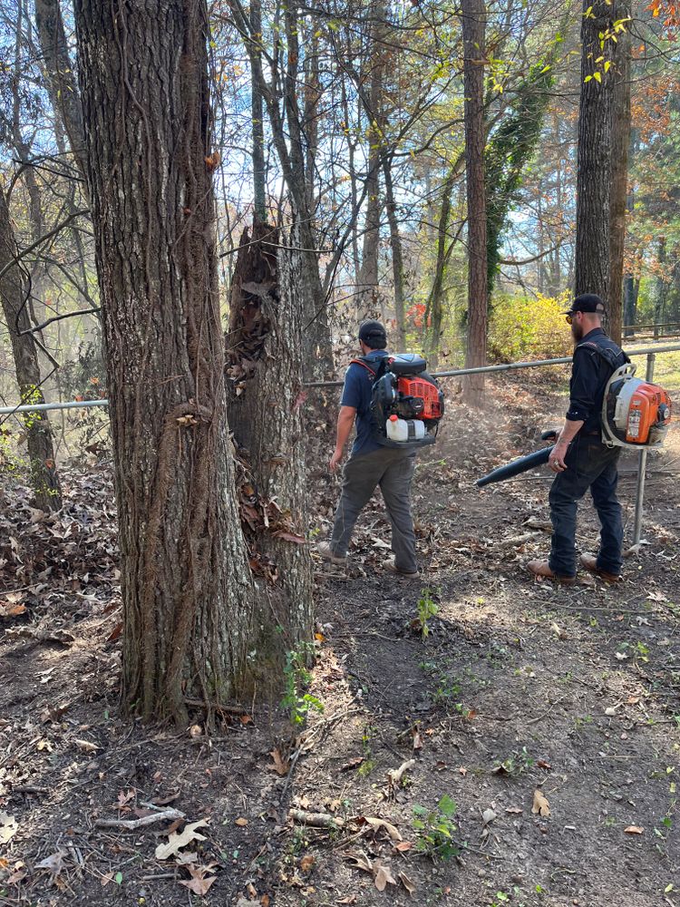 All Photos for J.P Landscaping and excavation in Chattanooga, TN