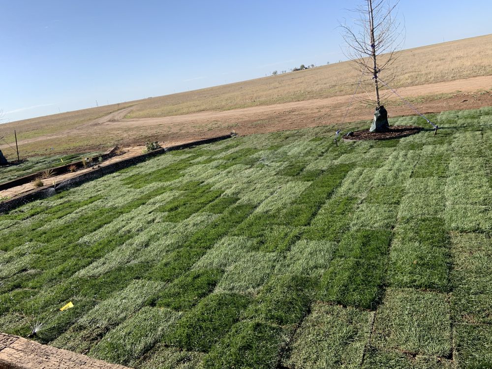 All Photos for Cole Landscaping & Pools, LLC in Amarillo, TX