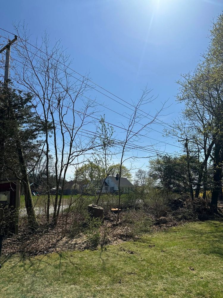 All Photos for Silver City Tree and Landscape in Taunton, MA