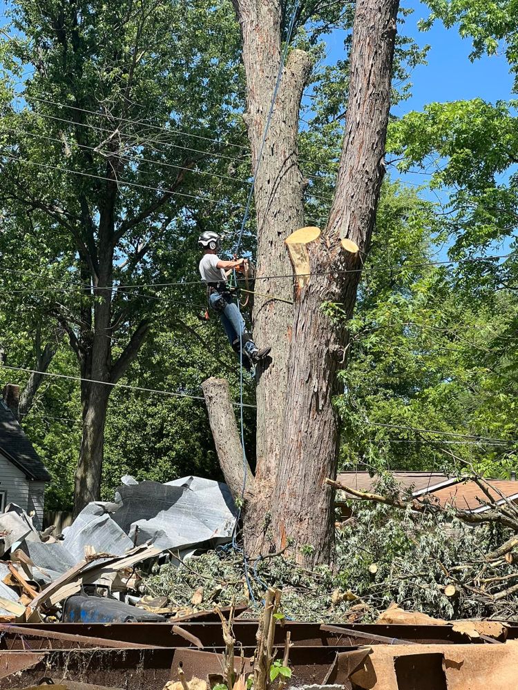 Tree Removal for Hunnicutt’s Tree Service L.L.C. in Monticello, IN