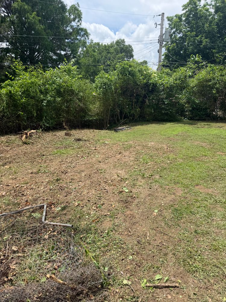 All Photos for Kingdom Landscaping in Memphis, TN