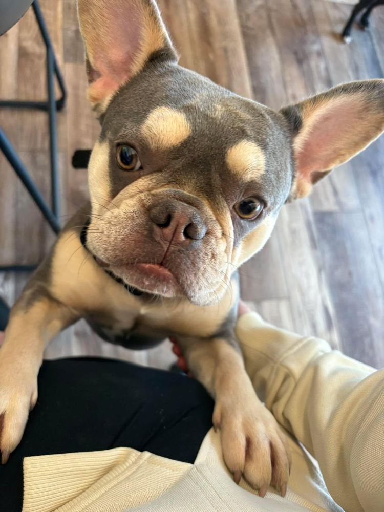 All Photos for James River Pools and Spa in Powhatan, VA