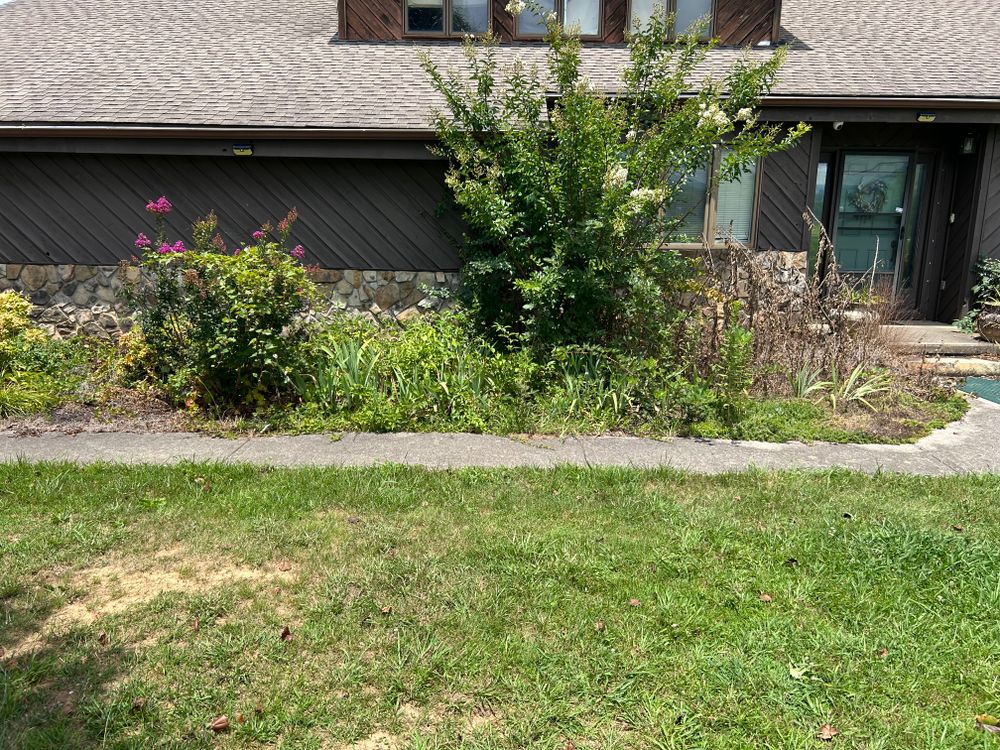 All Photos for Gatrell Landscape & Tree Removal in Bluff City, TN