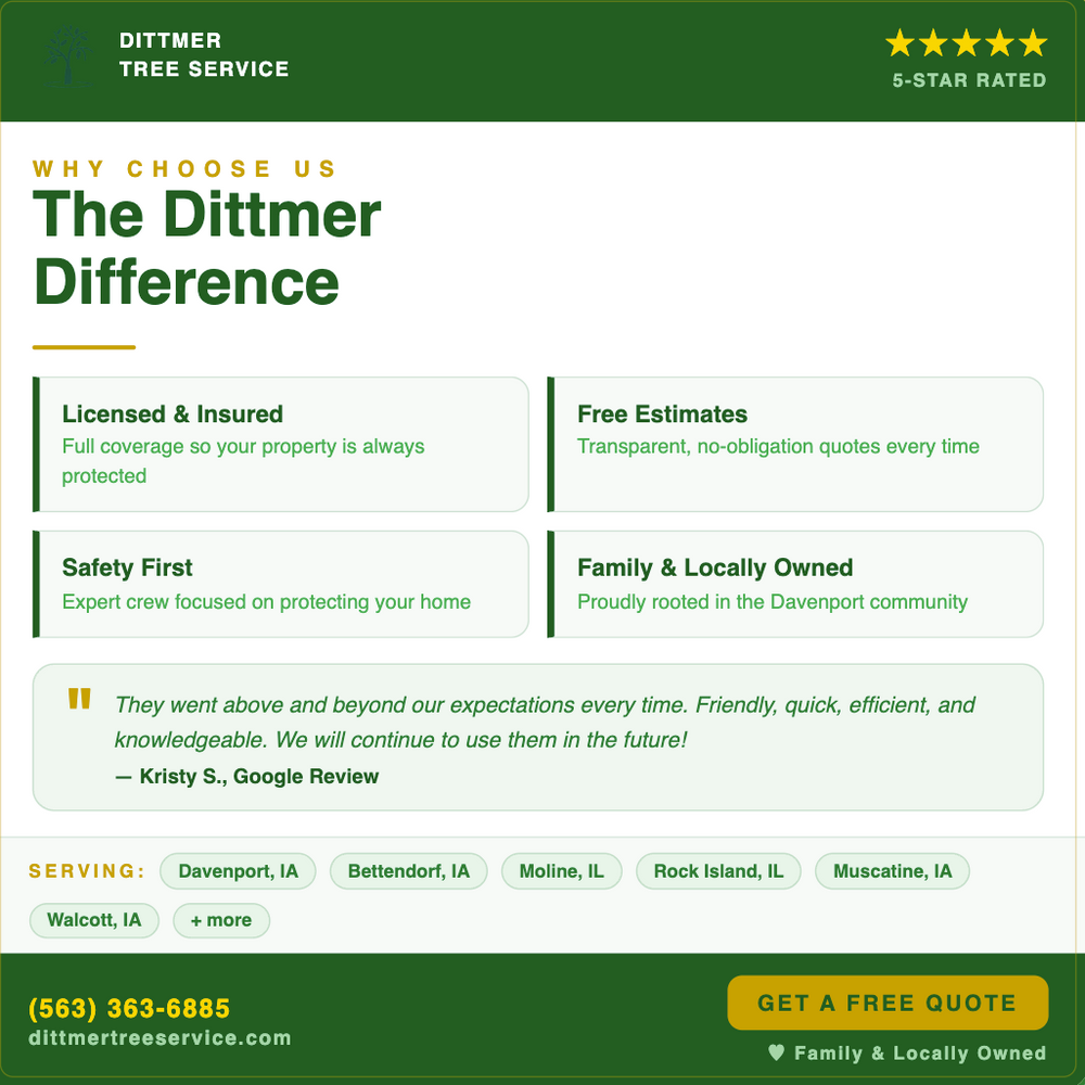 All Photos for Dittmer Tree Service in Davenport, IA