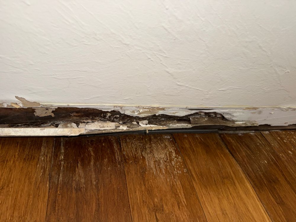 All Photos for N&D Restoration Services When Disaster Attacks, We Come In in Cape Coral,  FL