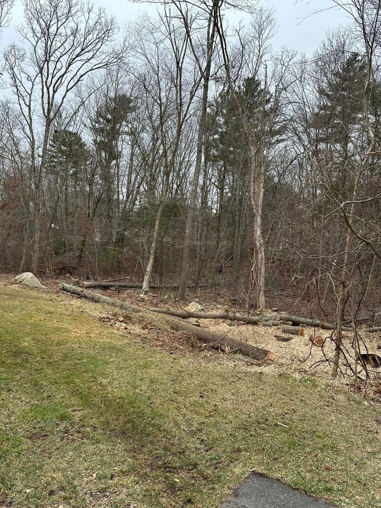 All Photos for Silver City Tree and Landscape in Taunton, MA