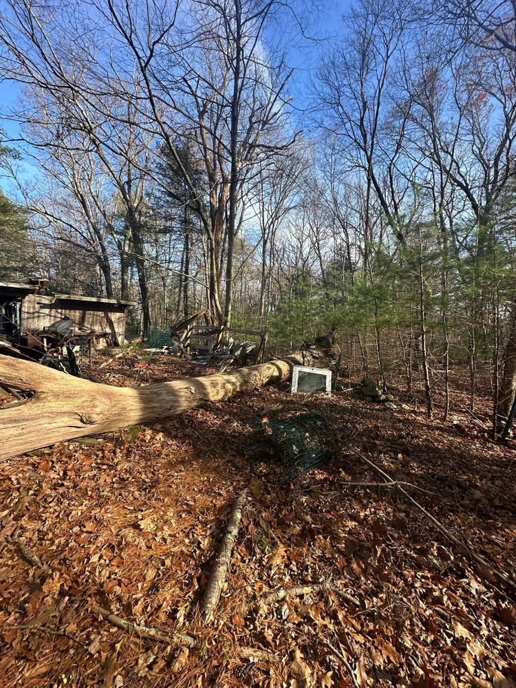 All Photos for Silver City Tree and Landscape in Taunton, MA