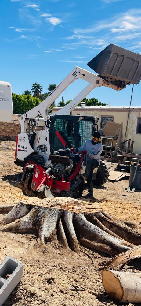 Yuma Palms & Tree Service team in Yuma, AZ - people or person