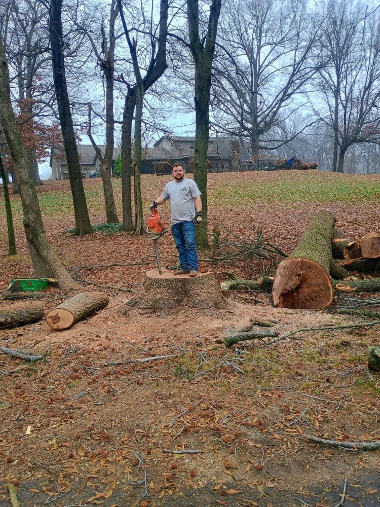 Our Stump Removal service efficiently eliminates unwanted tree stumps, enhancing your landscape's appearance while creating a safe and clean environment for future landscaping or construction projects on your property. for 5 Star Land Management in Beech Bluff, TN