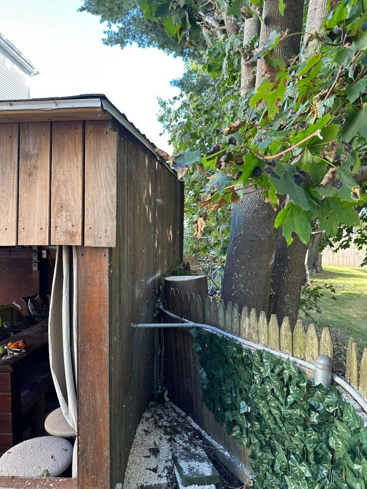 All Photos for Silver City Tree and Landscape in Taunton, MA