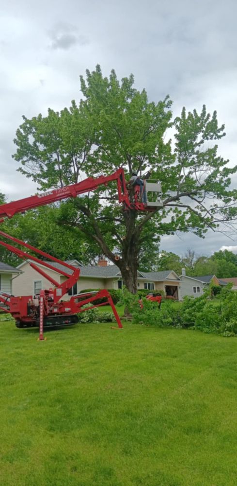All Photos for Lawn Ranger Yard And Tree Service LLC in Ottumwa, IA