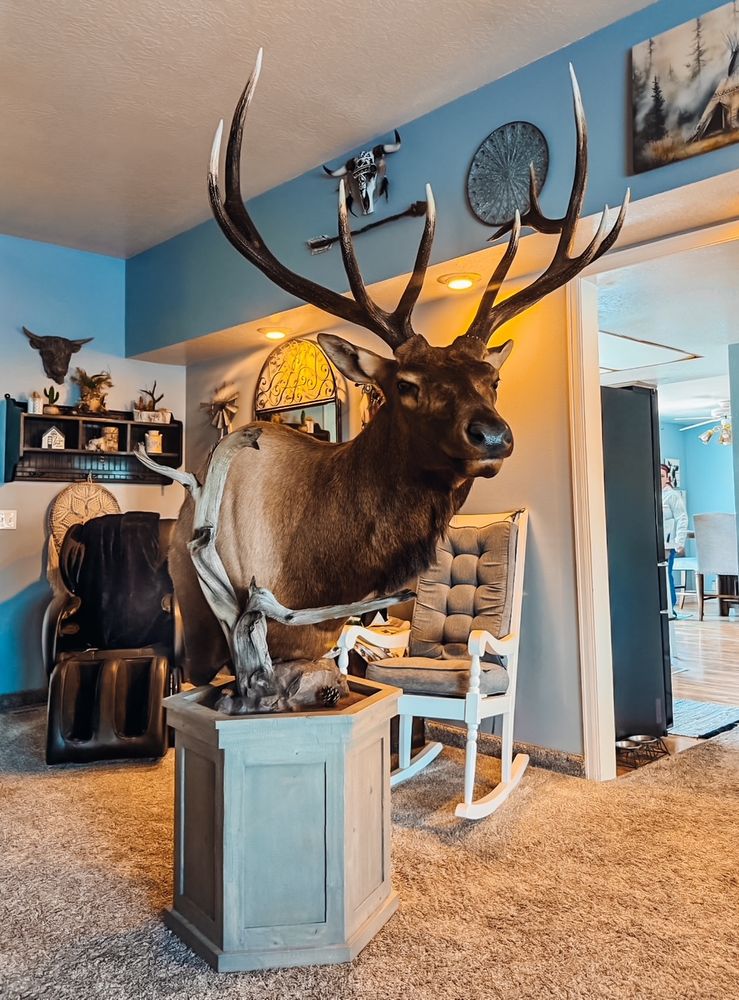 All Photos for C&E Custom in Payson, UT